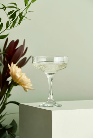 Café champagne bowl 23.5 cl - Clear - Aida