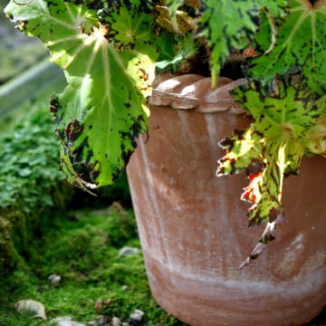 Emilia flower pot 16 cm - Pink - Bergs Potter