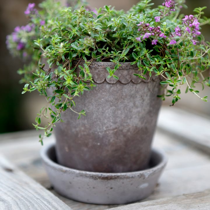 Helena flower pot Ø10 cm, grey Bergs Potter