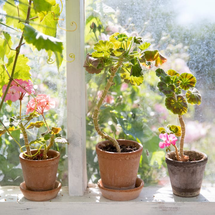 Helena flower pot Ø12 cm, pink Bergs Potter