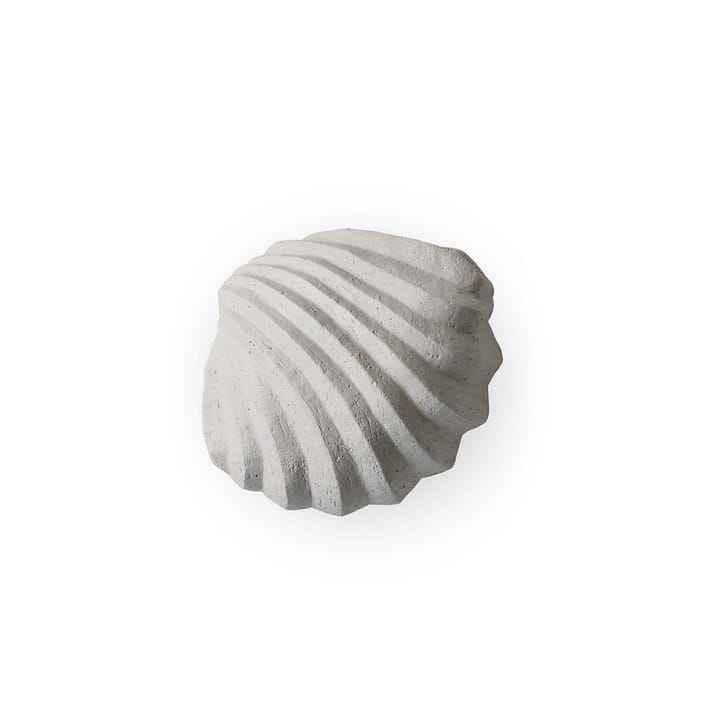 The Clam Shell sculpture 13 cm, Limestone Cooee Design