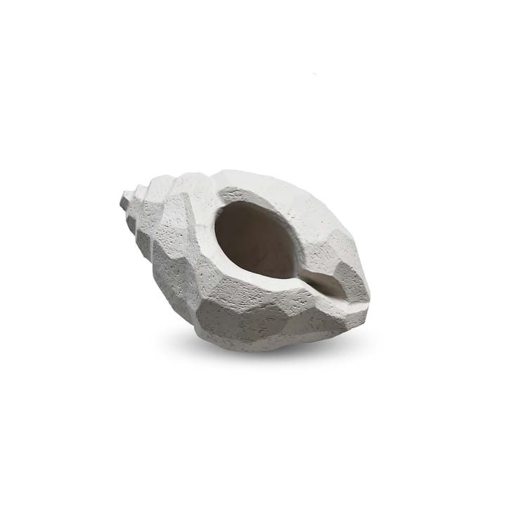 The Pear Shell sculpture 16 cm, Limestone Cooee Design