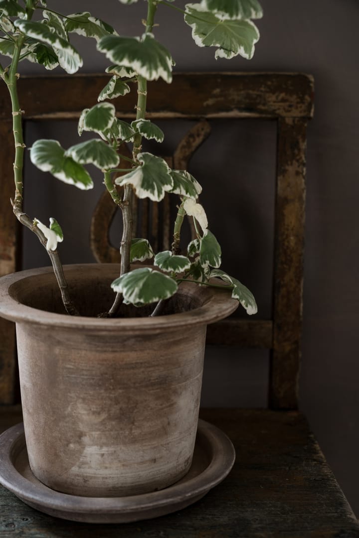 Ernst terracotta pot with saucer, Ø24 cm ERNST