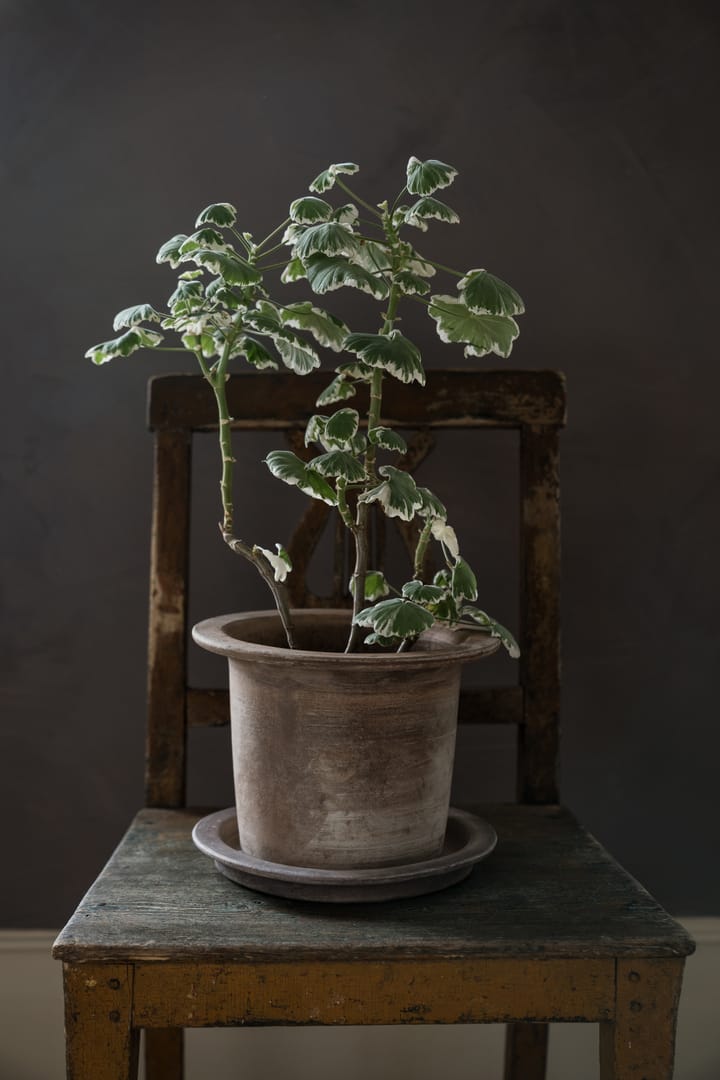 Ernst terracotta pot with saucer, Ø24 cm ERNST