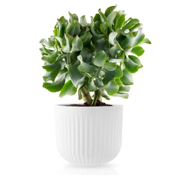 Eva Trio Legio Nova flower pot white - Large Ø15.5 cm - Eva Solo