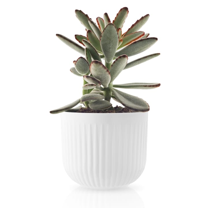 Eva Trio Legio Nova flower pot white, Small Ø13 cm Eva Solo