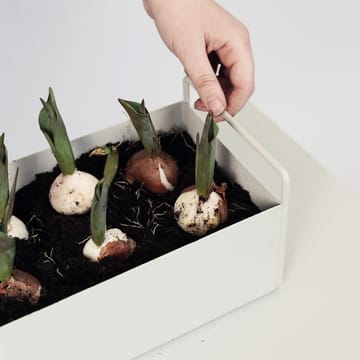 ferm LIVING plant box small - light grey - ferm LIVING