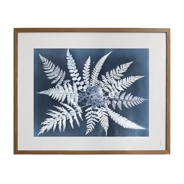 Fern star poster - 40x50 cm - Fine Little Day