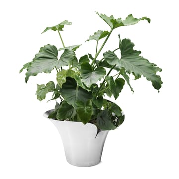 Bloom Botanica flower pot - Ø22 cm - Georg Jensen