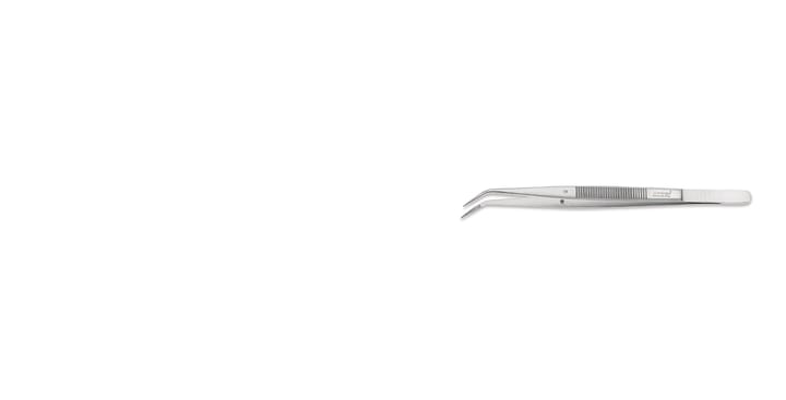 Chef's Tweezers Bent 35 cm, Stainless steel Giesser