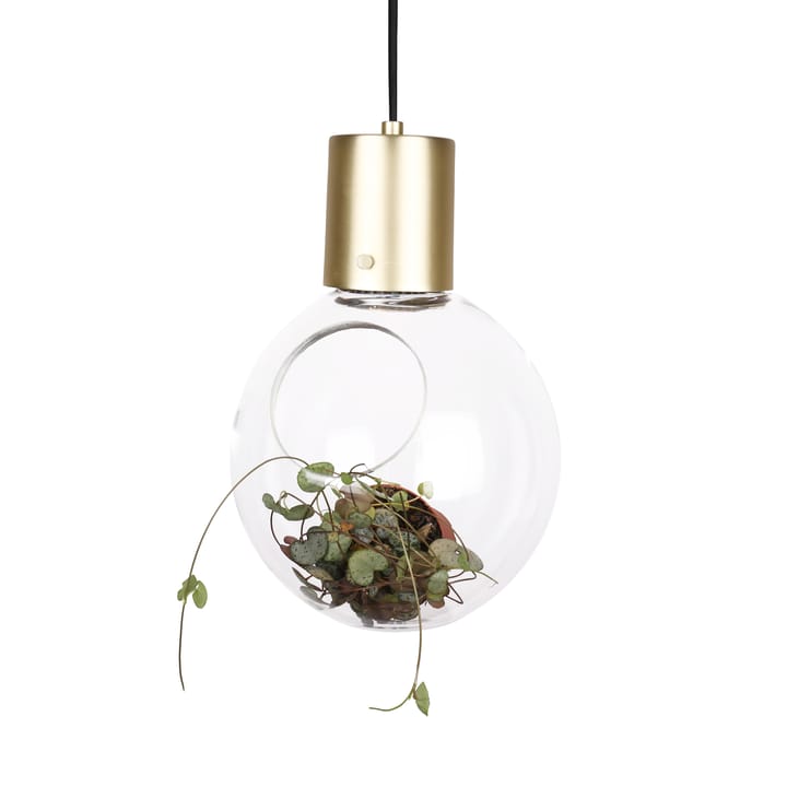 Mini Hole ceiling lamp, clear-brass Globen Lighting