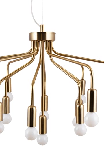 Roots 70 pendant - Brushed brass - Globen Lighting