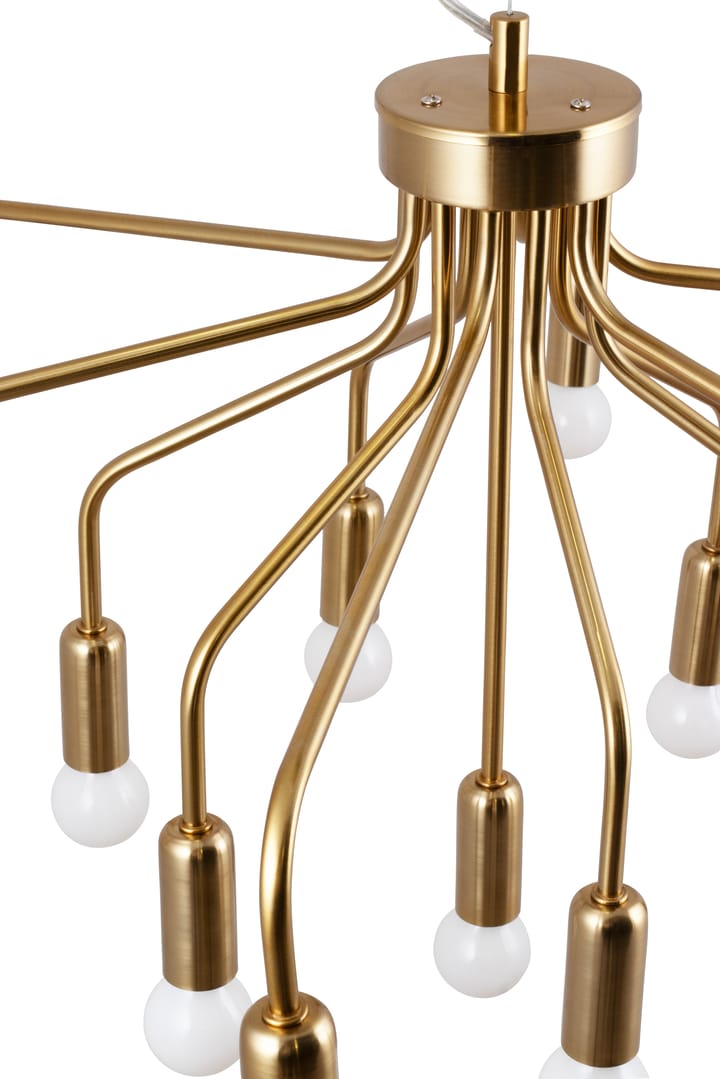 Roots 70 pendant, Brushed brass Globen Lighting