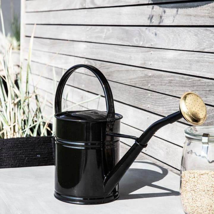 Water watering can, Black House Doctor