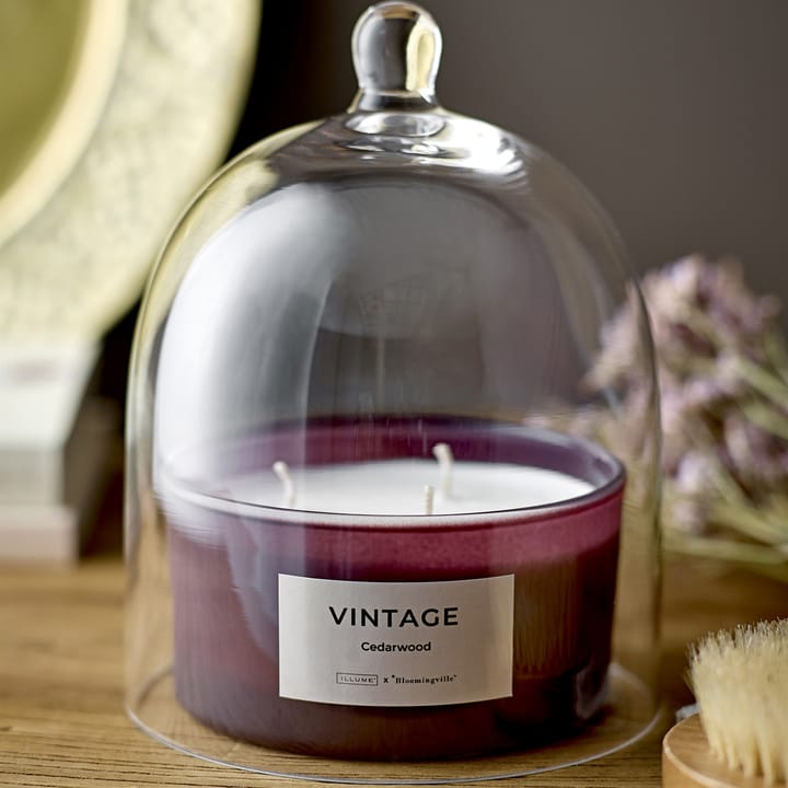 Vintage Cedarwood scented candle, 250 g Illume x Bloomingville