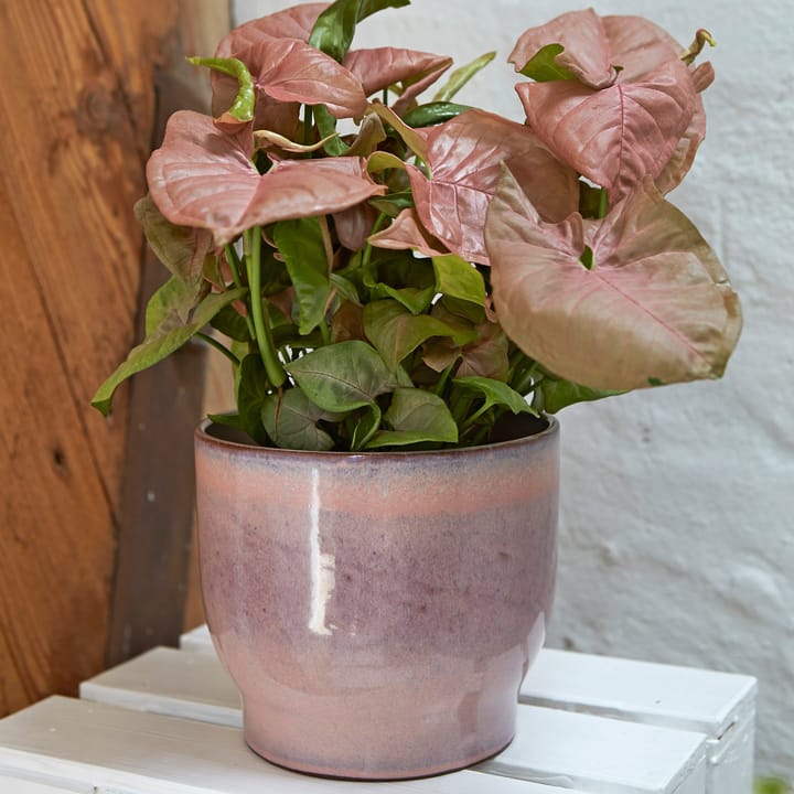 Knabstrup outdoor flower pot Ø16.5 cm, pink Knabstrup Keramik