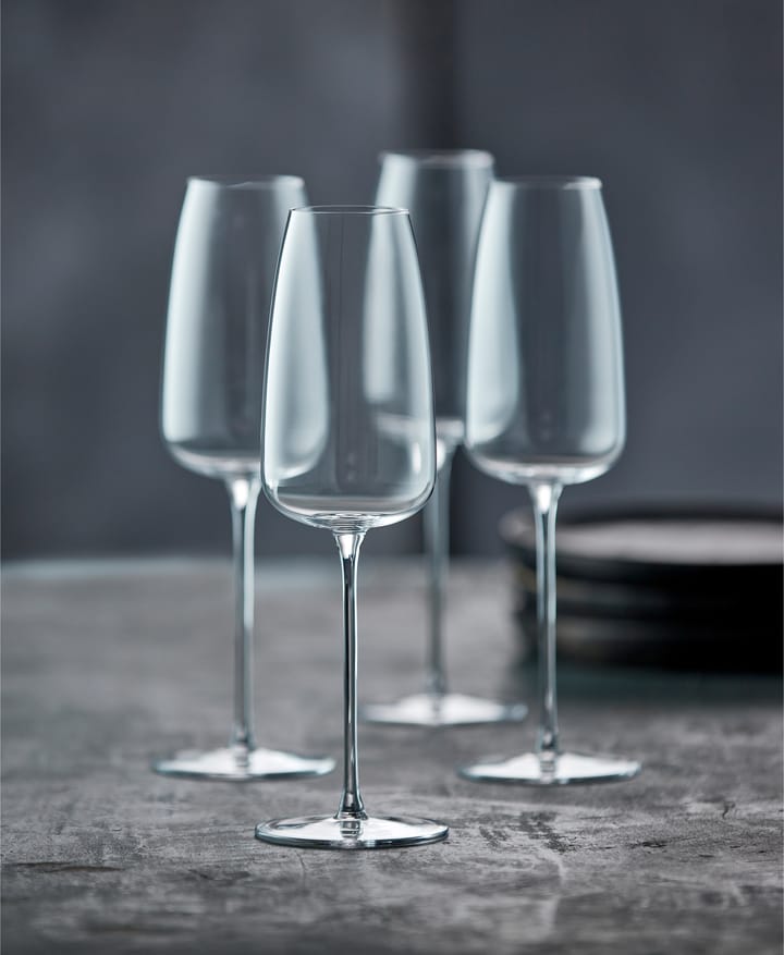 Veneto champagne glass 36 cl 2-pack, Clear Lyngby Glas