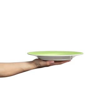 Basic plate 25 cm - Green - Mateus