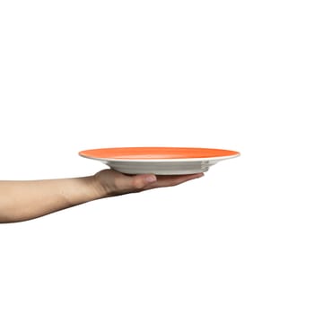 Basic plate 25 cm - Orange - Mateus