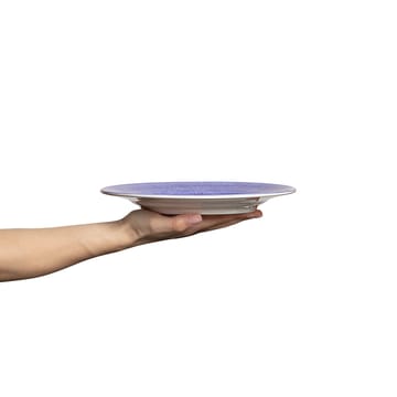 Basic plate 25 cm - Violet - Mateus