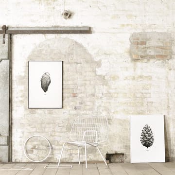 1:1 Pine cone poster - white, 50x70 cm - Paper Collective