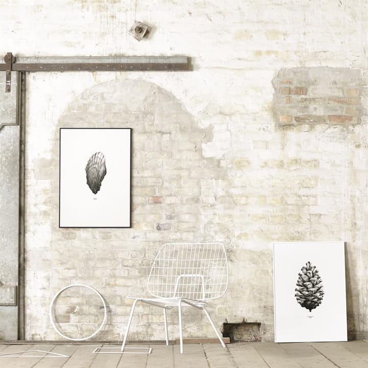 1:1 Pine cone poster, white, 50x70 cm Paper Collective