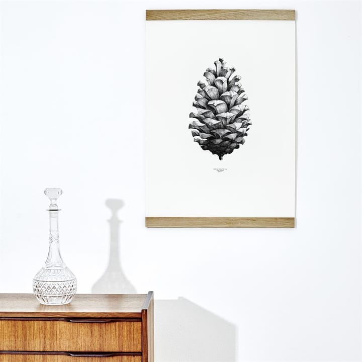 1:1 Pine cone poster, white, 50x70 cm Paper Collective