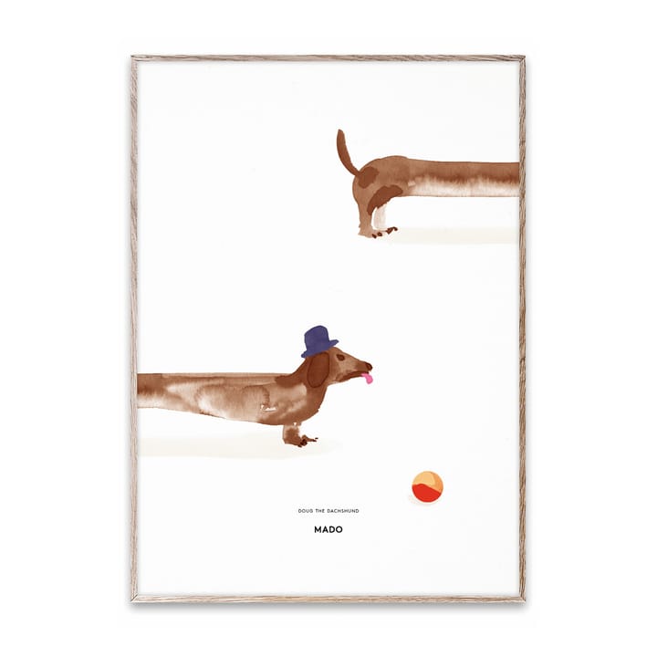 Doug the Dachshund poster, 50x70 cm Paper Collective