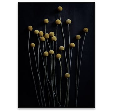 Sto Life 01 Yellow Drumsticks poster - 50x70 cm - Paper Collective