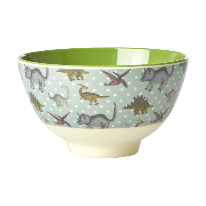 Rice melamine bowl small - New Dino - RICE