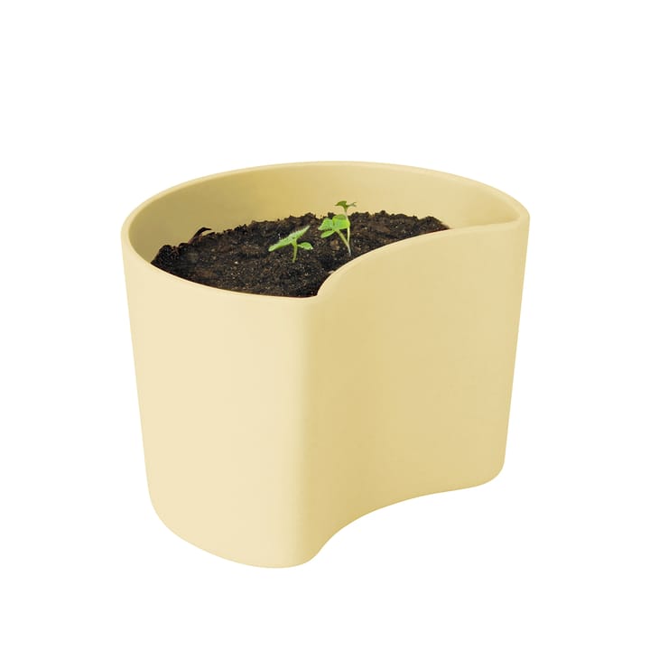 YOUR TREE pot with seeds, Yellow (Beech) RIG-TIG