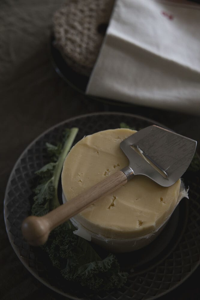 Nature cheese slicer, Oak Sagaform