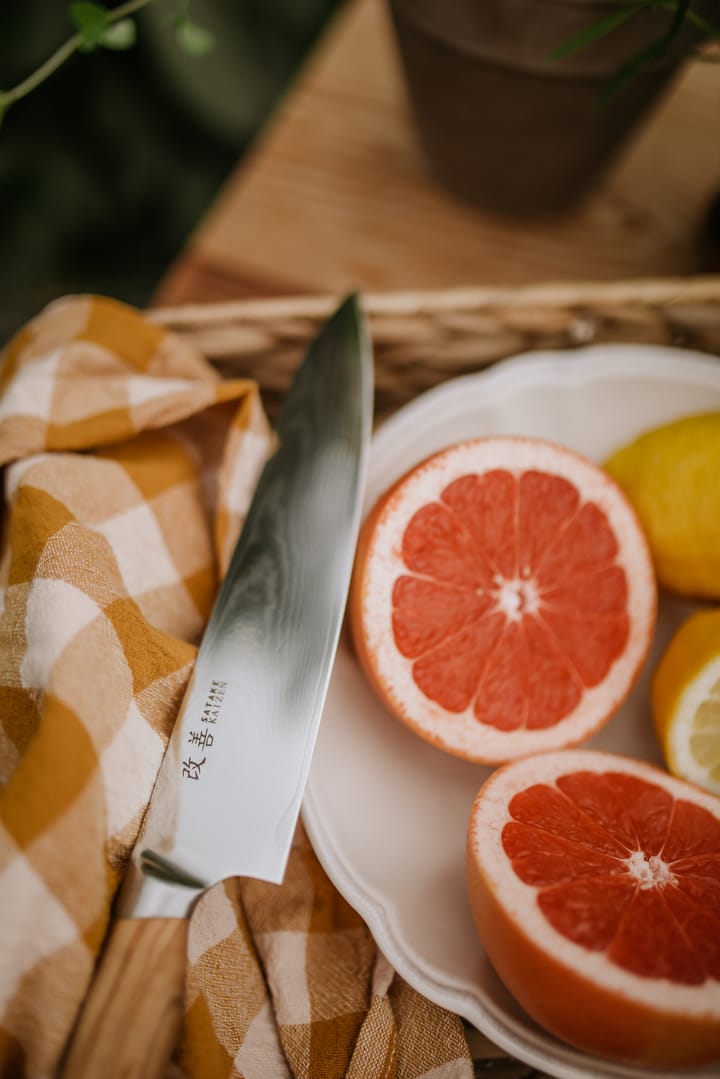 Saceilinge Kaizen Gyuto knife, 21 cm Satake