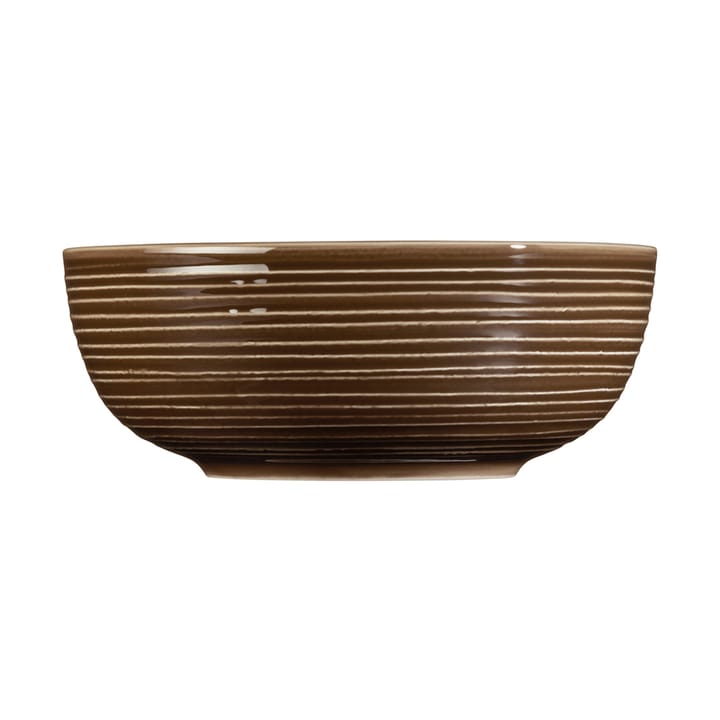 Terra bowl Ø20.4 cm 2-pack, Earth Brown Seltmann Weiden