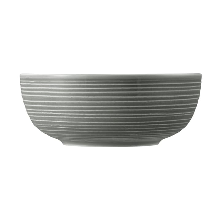 Terra bowl Ø20.4 cm 2-pack, Pearl Grey Seltmann Weiden