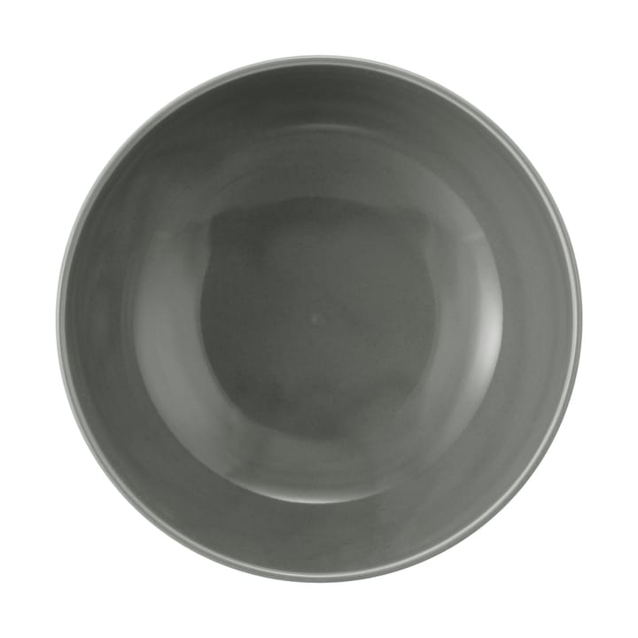 Terra bowl Ø20.4 cm 2-pack, Pearl Grey Seltmann Weiden