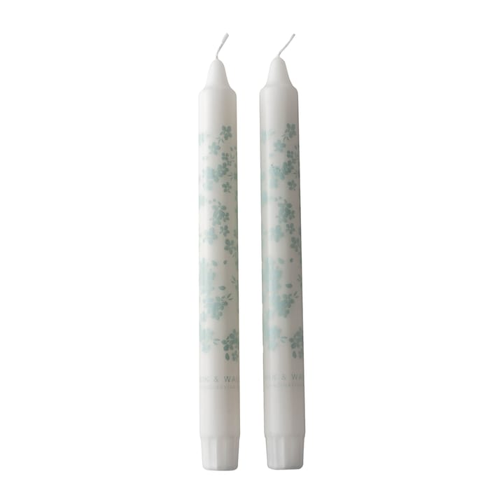 Slåpeblom tapered candle 2-pack, Blue Wik & Walsøe