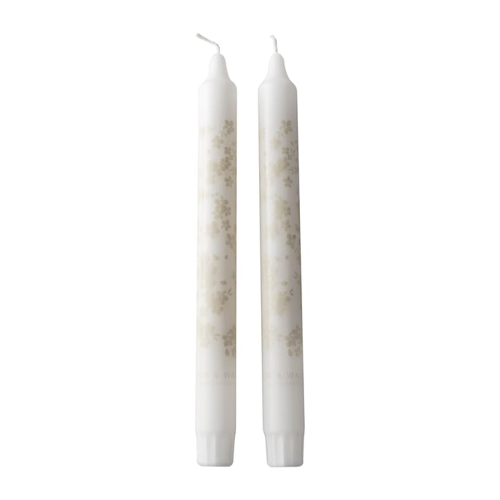 Slåpeblom tapered candle 2-pack, grey Wik & Walsøe